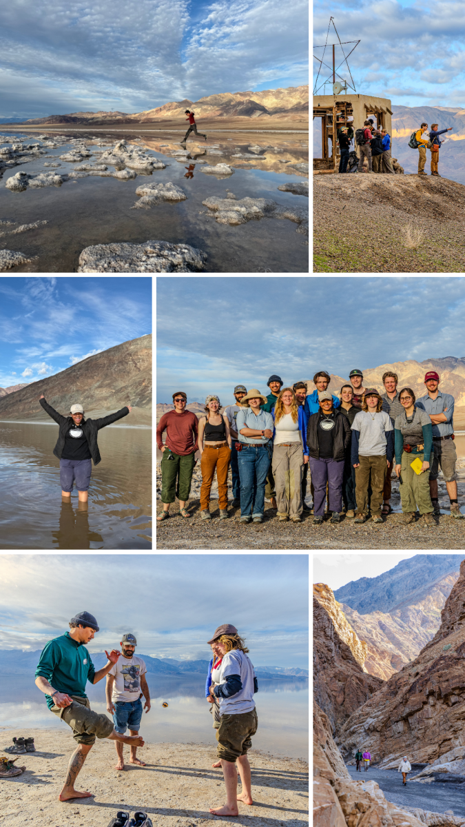 Death Valley Collage
