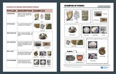mini_deep_time_workshop_slides_8th_grade_ncsta_0.jpg
