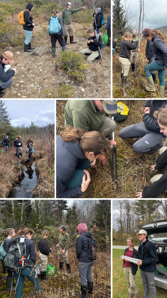 Collage of Dr. Benfield's students doing fieldwork