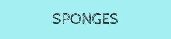 sponges_button.jpg