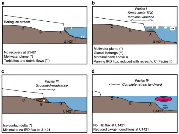 Schematic drawing of tidewater glacier cycle at Bering Glacier