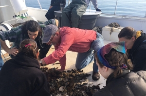 Dr. Steve Hageman, center, shows paleontology students communities of marine organisms on the deck of the University of North Carolina Institute of Marine Science’s research vessel in the spring of 2018. 