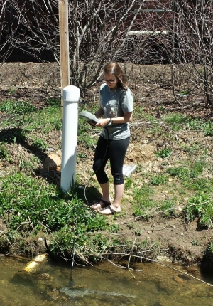 GES major Carly Maas measuring water in Boone Creek
