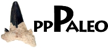 AppPaleo logo