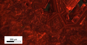 mineral microscopy image